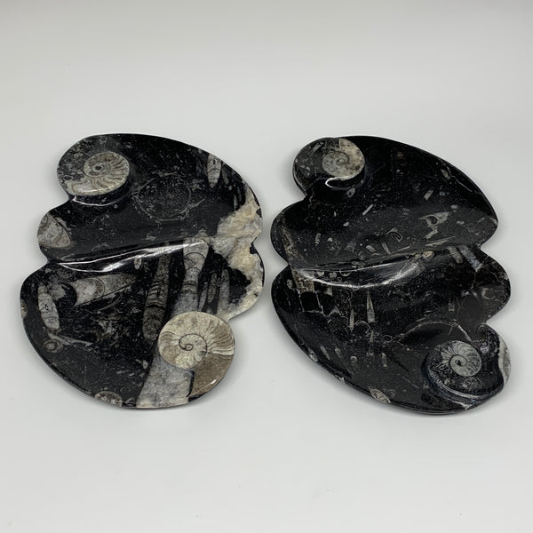 2pcs Set,8.5"x5.5" Double Heart Fossils Orthoceras Ammonite Bowls @Morocco,B8521