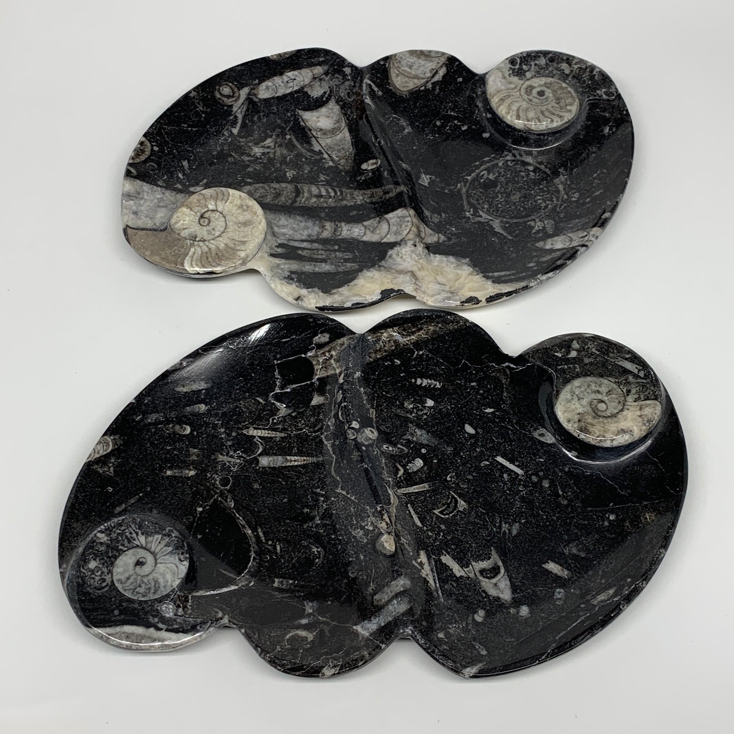 2pcs Set,8.5"x5.5" Double Heart Fossils Orthoceras Ammonite Bowls @Morocco,B8521