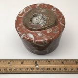 520g, 2.5"x3.4" Round Shape Fossils Ammonite Red Jewelry Box @Morocco, MF1004 - watangem.com