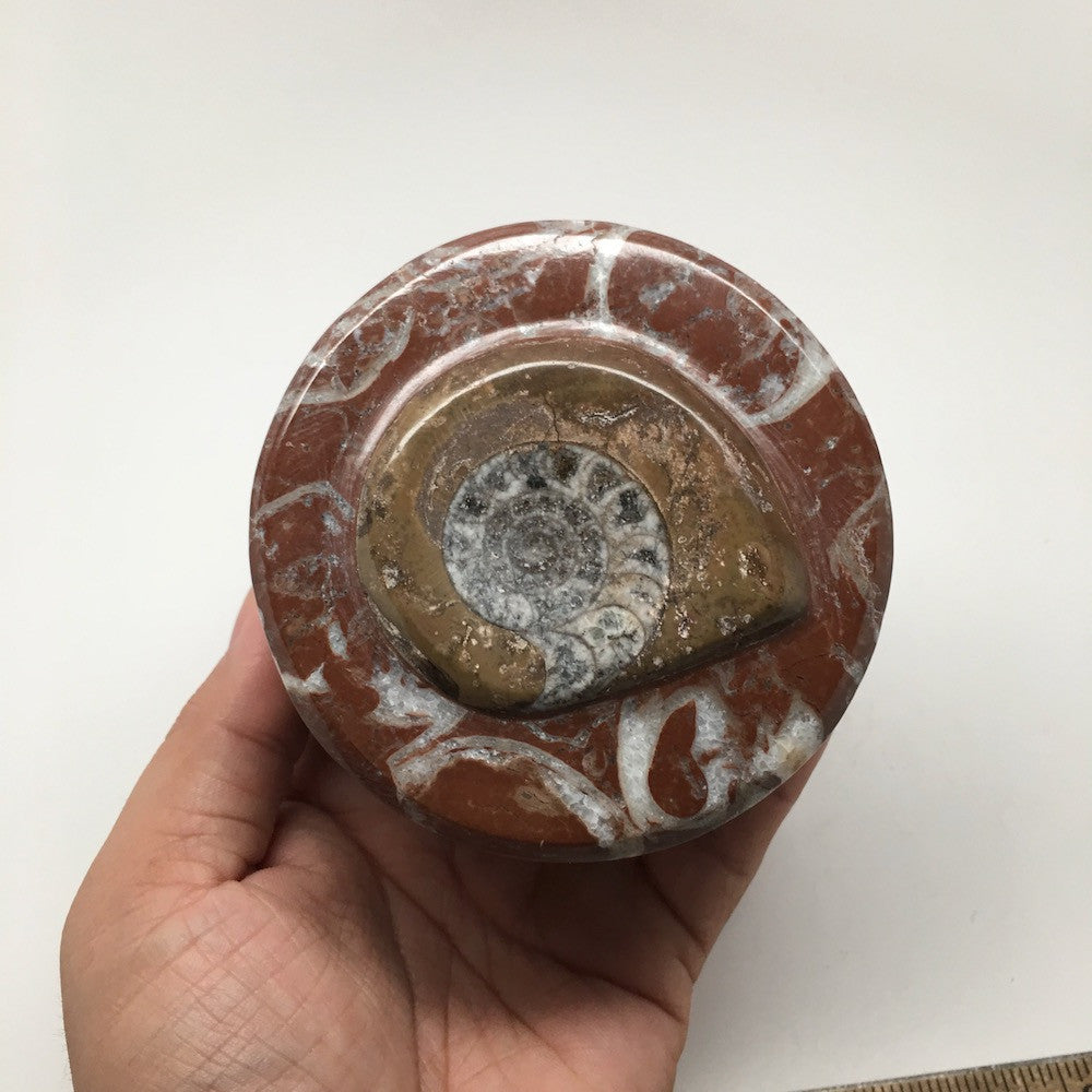 484g, 2.5"x3.4" Round Shape Fossils Ammonite Red Jewelry Box @Morocco, MF1005 - watangem.com