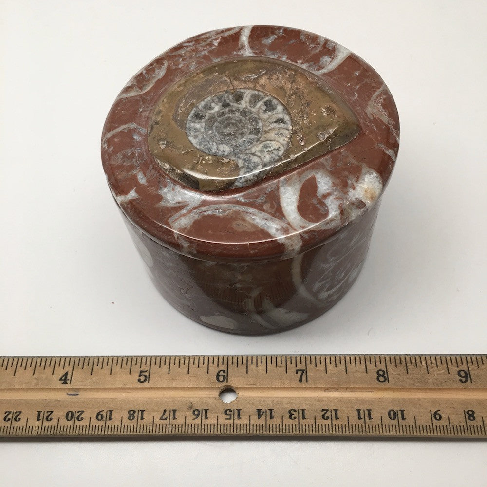 484g, 2.5"x3.4" Round Shape Fossils Ammonite Red Jewelry Box @Morocco, MF1005 - watangem.com