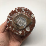 538g, 2.5"x3.4" Round Shape Fossils Ammonite Red Jewelry Box @Morocco, MF1006 - watangem.com