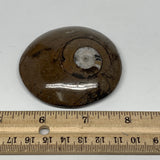 111.3g, 2.7"x2.7"x0.7", Button Ammonite Polished Mineral from Morocco, F2082