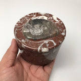 546g, 2.5"x3.4" Round Shape Fossils Ammonite Red Jewelry Box @Morocco, MF1012 - watangem.com