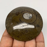 95.3g, 2.6"x2.6"x0.7", Button Ammonite Polished Mineral from Morocco, F2083