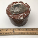 546g, 2.5"x3.4" Round Shape Fossils Ammonite Red Jewelry Box @Morocco, MF1012 - watangem.com