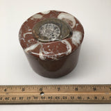 520g, 2.5"x3.4" Round Shape Fossils Ammonite Red Jewelry Box @Morocco, MF1014 - watangem.com