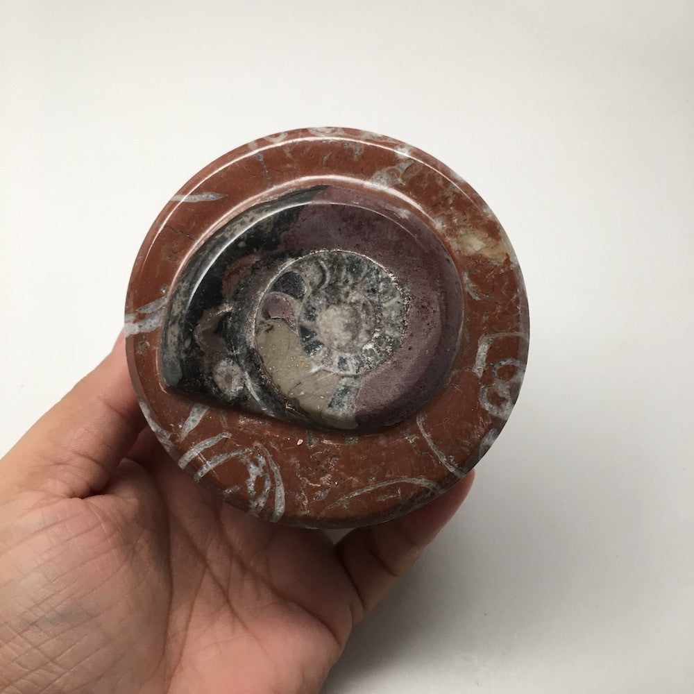 520g, 2.5"x3.4" Round Shape Fossils Ammonite Red Jewelry Box @Morocco, MF1017 - watangem.com