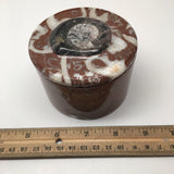 526g, 2.5"x3.4" Round Shape Fossils Ammonite Red Jewelry Box @Morocco, MF1018 - watangem.com