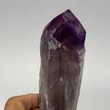 555g,8.5"x2.4"x2",Amethyst Point Polished Rough lower part from Brazil,B19101