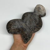 996g, 8.75"x5"x0.6" Fossils Orthoceras Ammonite Sculpture @Morocco,B8537
