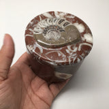 524g, 2.5"x3.4" Round Shape Fossils Ammonite Red Jewelry Box @Morocco, MF1021 - watangem.com