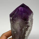 525g,7.2"x2.6"x1.8",Amethyst Point Polished Rough lower part from Brazil,B19103