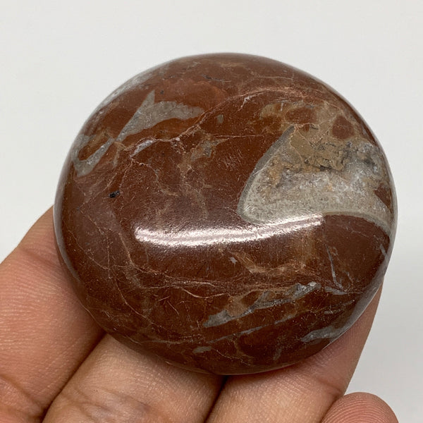 49.7g, 1.8"x0.6", Natural Untreated Red Shell Fossils Round Palms-tone, F1095