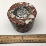 512g, 2.5"x3.4" Round Shape Fossils Ammonite Red Jewelry Box @Morocco, MF1022 - watangem.com
