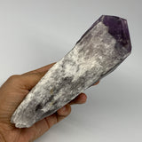 710g,8.1"x2.5"x2.5",Amethyst Point Polished Rough lower part from Brazil,B19105