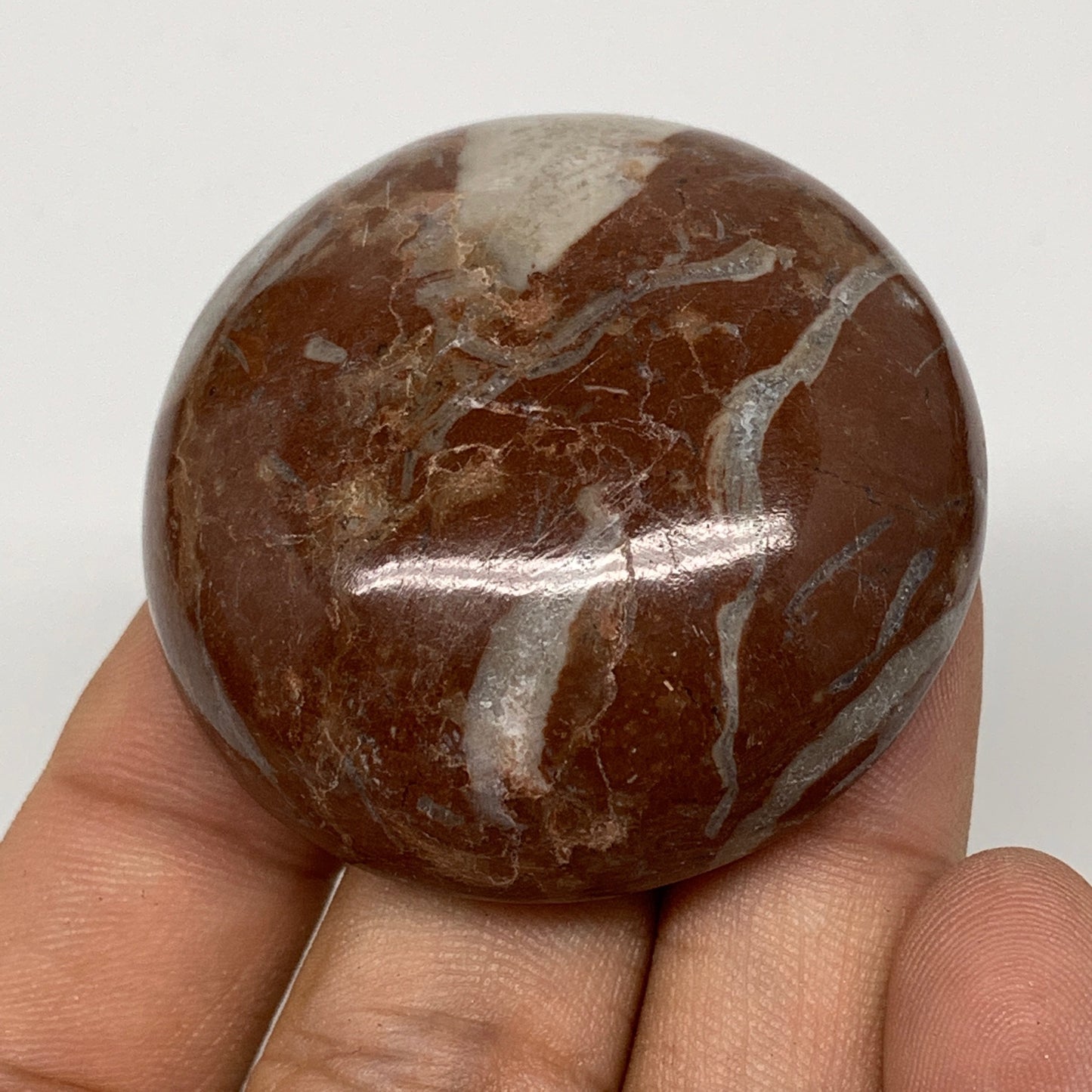 49.9g, 1.8"x0.6", Natural Untreated Red Shell Fossils Round Palms-tone, F1098