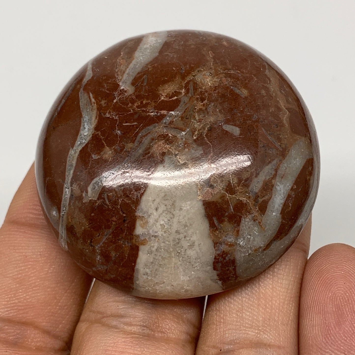 49.9g, 1.8"x0.6", Natural Untreated Red Shell Fossils Round Palms-tone, F1098