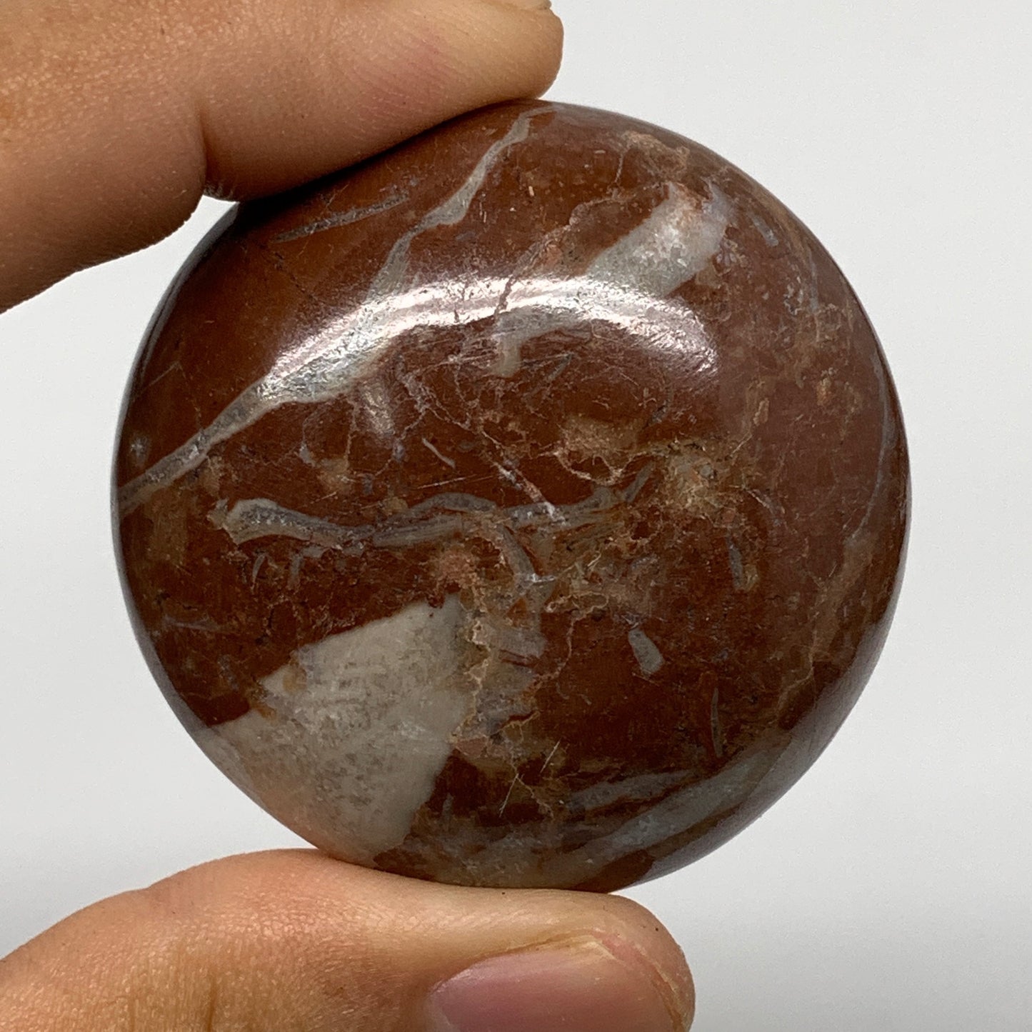 49.9g, 1.8"x0.6", Natural Untreated Red Shell Fossils Round Palms-tone, F1098