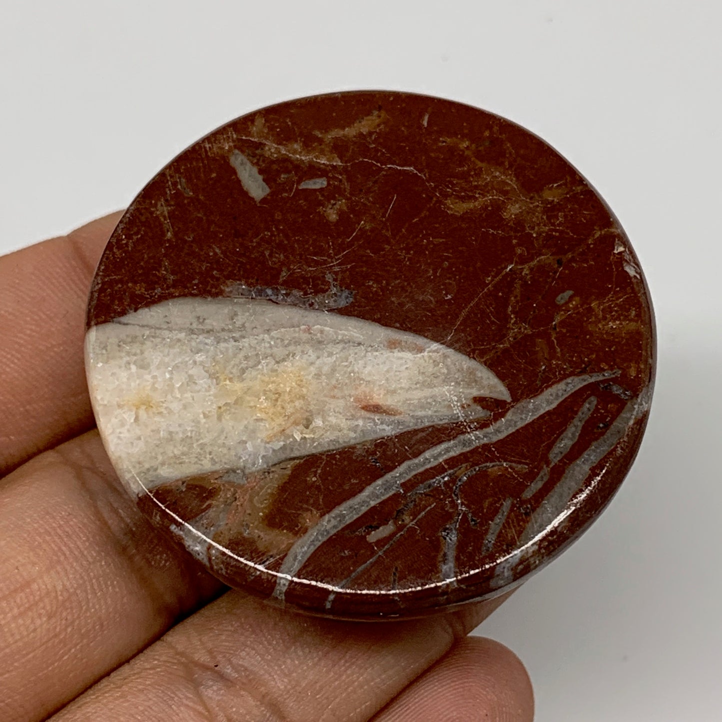 49.9g, 1.8"x0.6", Natural Untreated Red Shell Fossils Round Palms-tone, F1098