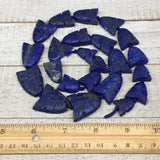 120.8g,16mm-29mm, Natural Lapis Lazuli Fish Beads Strand, 23 Beads,22" LPB319