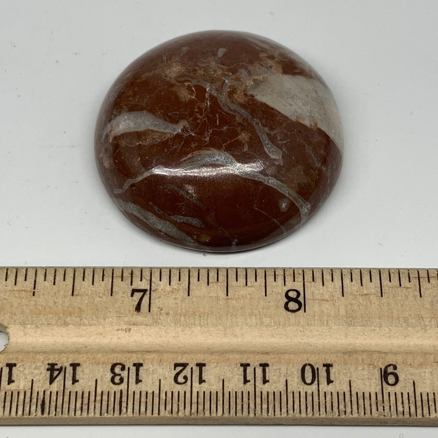 49.9g, 1.8"x0.6", Natural Untreated Red Shell Fossils Round Palms-tone, F1098