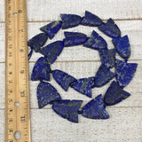 107g,21mm-29mm, Natural Lapis Lazuli Fish Beads Strand, 19 Beads,19" LPB320