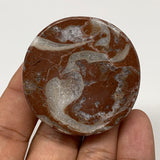 55.6g, 1.8"x0.7", Natural Untreated Red Shell Fossils Round Palms-tone, F1100