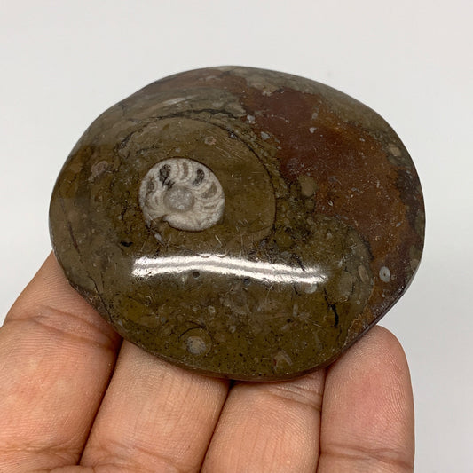 80.5g, 2.4"x2.4"x0.7", Button Ammonite Polished Mineral from Morocco, F2098