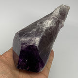 640g,8.25"x2.7"x2.1",Amethyst Point Polished Rough lower part from Brazil,B19108