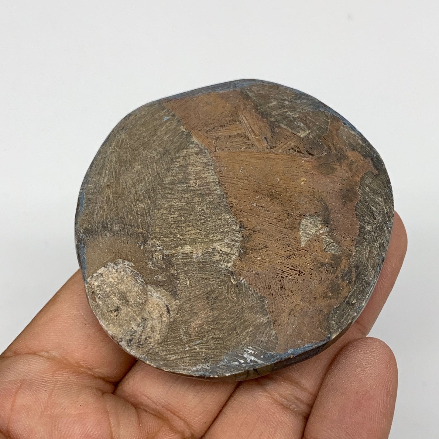 80.5g, 2.4"x2.4"x0.7", Button Ammonite Polished Mineral from Morocco, F2098