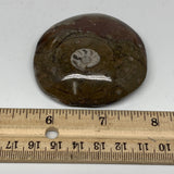 80.5g, 2.4"x2.4"x0.7", Button Ammonite Polished Mineral from Morocco, F2098