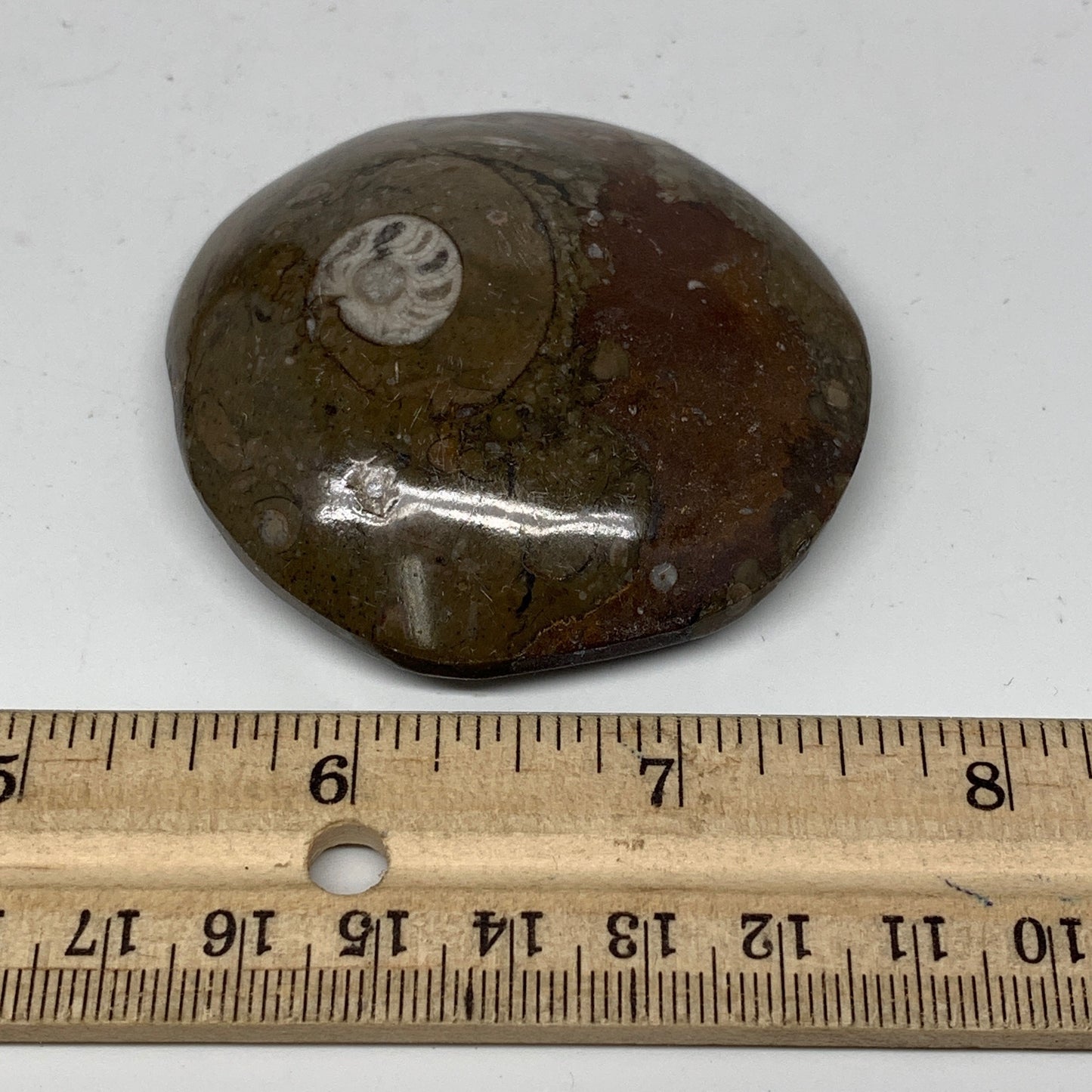 80.5g, 2.4"x2.4"x0.7", Button Ammonite Polished Mineral from Morocco, F2098