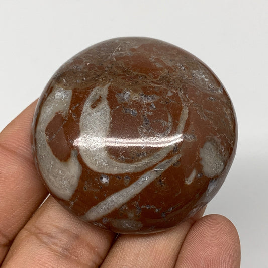 49.5g, 1.8"x0.6", Natural Untreated Red Shell Fossils Round Palms-tone, F1102