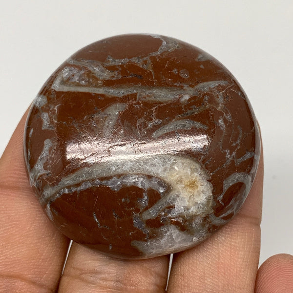 36.3g, 1.6"x0.6", Natural Untreated Red Shell Fossils Round Palms-tone, F1103