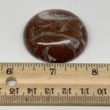 36.3g, 1.6"x0.6", Natural Untreated Red Shell Fossils Round Palms-tone, F1103