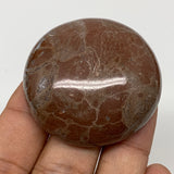 48.6g, 1.8"x0.7", Natural Untreated Red Shell Fossils Round Palms-tone, F1104