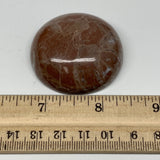 48.6g, 1.8"x0.7", Natural Untreated Red Shell Fossils Round Palms-tone, F1104