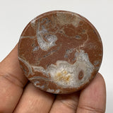 51.5g, 1.8"x0.7", Natural Untreated Red Shell Fossils Round Palms-tone, F1106