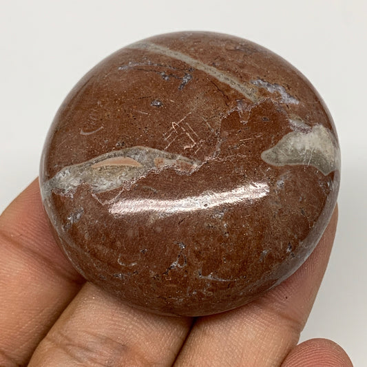 50.2g, 1.8"x0.6", Natural Untreated Red Shell Fossils Round Palms-tone, F1109
