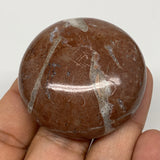 50.2g, 1.8"x0.6", Natural Untreated Red Shell Fossils Round Palms-tone, F1109