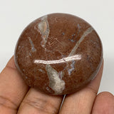 50.2g, 1.8"x0.6", Natural Untreated Red Shell Fossils Round Palms-tone, F1109