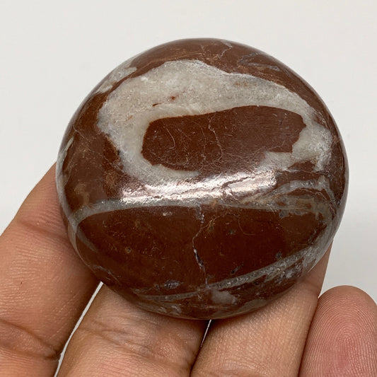 53.3g, 1.8"x0.7", Natural Untreated Red Shell Fossils Round Palms-tone, F1110