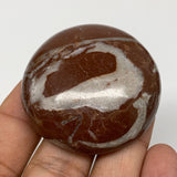 53.3g, 1.8"x0.7", Natural Untreated Red Shell Fossils Round Palms-tone, F1110