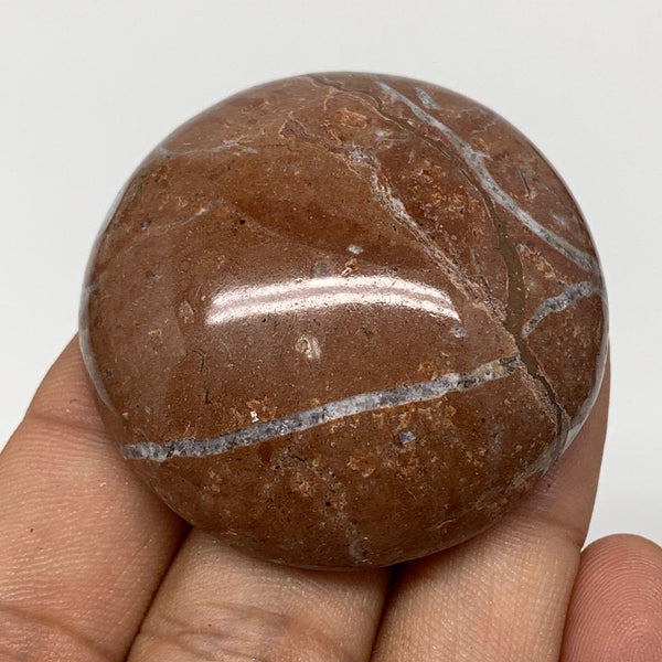 45.2g, 1.8"x0.7", Natural Untreated Red Shell Fossils Round Palms-tone, F1111