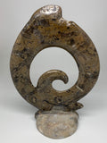 5.4 Lbs, 13"x8.5"x0.8" Fossils Orthoceras Ammonite Sculpture @Morocco,B8552