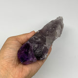 515g,9"x2"x1.7",Amethyst Point Polished Rough lower part from Brazil,B19116