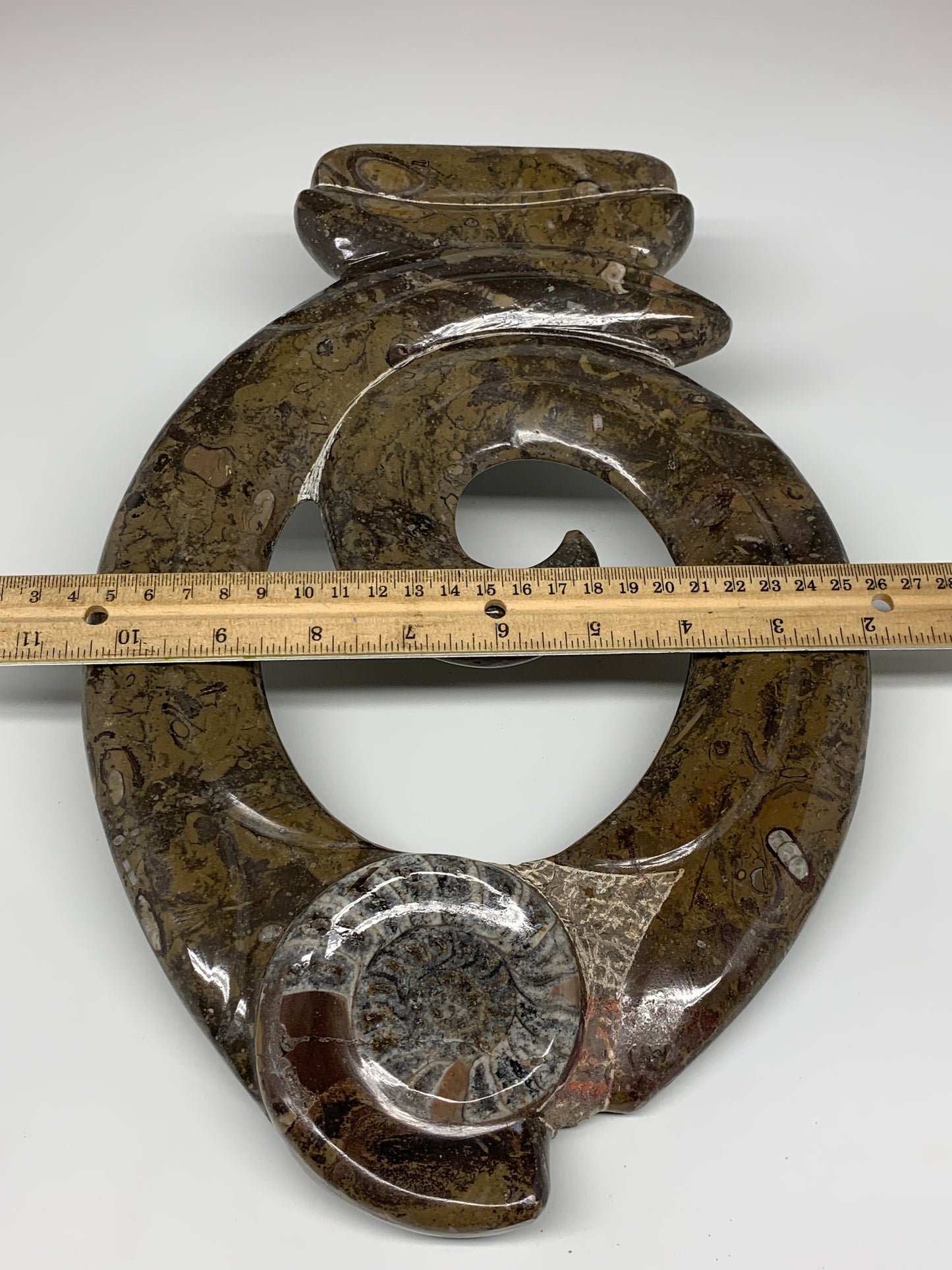 5.4 Lbs, 13"x8.5"x0.8" Fossils Orthoceras Ammonite Sculpture @Morocco,B8552