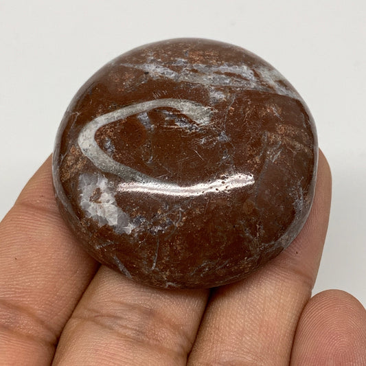 39.3g, 1.7"x0.6", Natural Untreated Red Shell Fossils Round Palms-tone, F1112