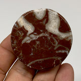 45.5g, 1.8"x0.6", Natural Untreated Red Shell Fossils Round Palms-tone, F1113